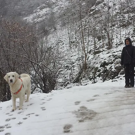 בית נופש Casa De Aldea El Sol Poo (Cabrales)