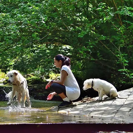 Casa De Aldea El Sol