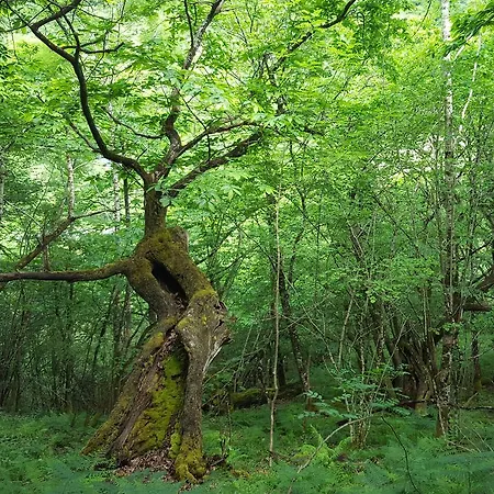 Casa De Aldea El Sol