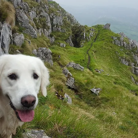 بيت للعطل Casa De Aldea El Sol